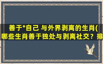 善于*自己 与外界剥离的生肖(哪些生肖善于独处与剥离社交？排名出炉！)